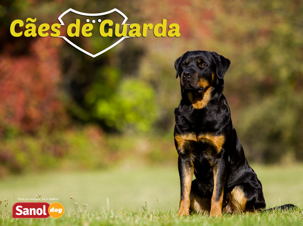 Conheça as melhores raças de cães de guarda do Brasil - Sanol Dog